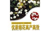 优质棉花栽培技术，优质棉花栽培技术有哪些
