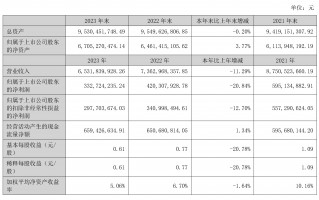 财务大数据分析公司，财务大数据分析公司案例分析